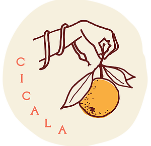 Cicala, the Divine Lorraine’s New Southern Italian Restaurant Makes a Splash