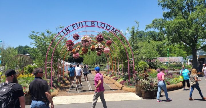 In Full Bloom, the 2022 Flower Show