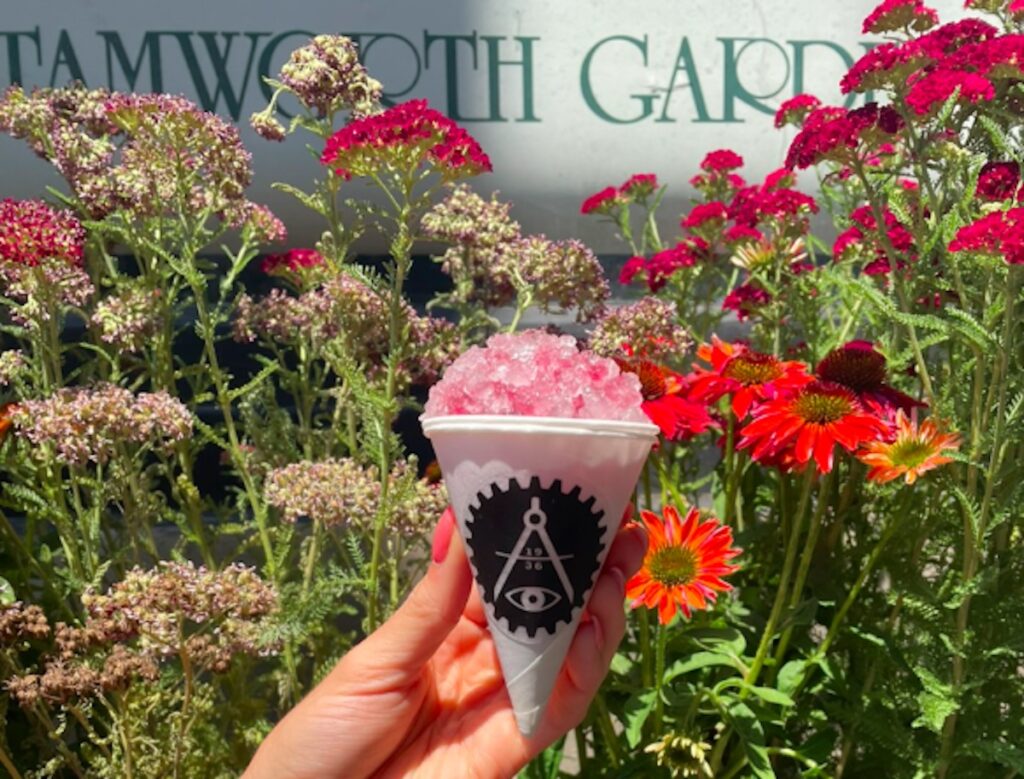 The Boozy Snowcone: An Artistic Twist on Summer Delights
