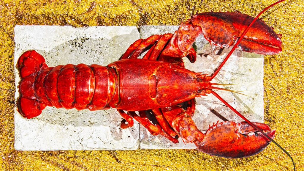 La Fête du Homard: A Lobster Feast at Forsythia