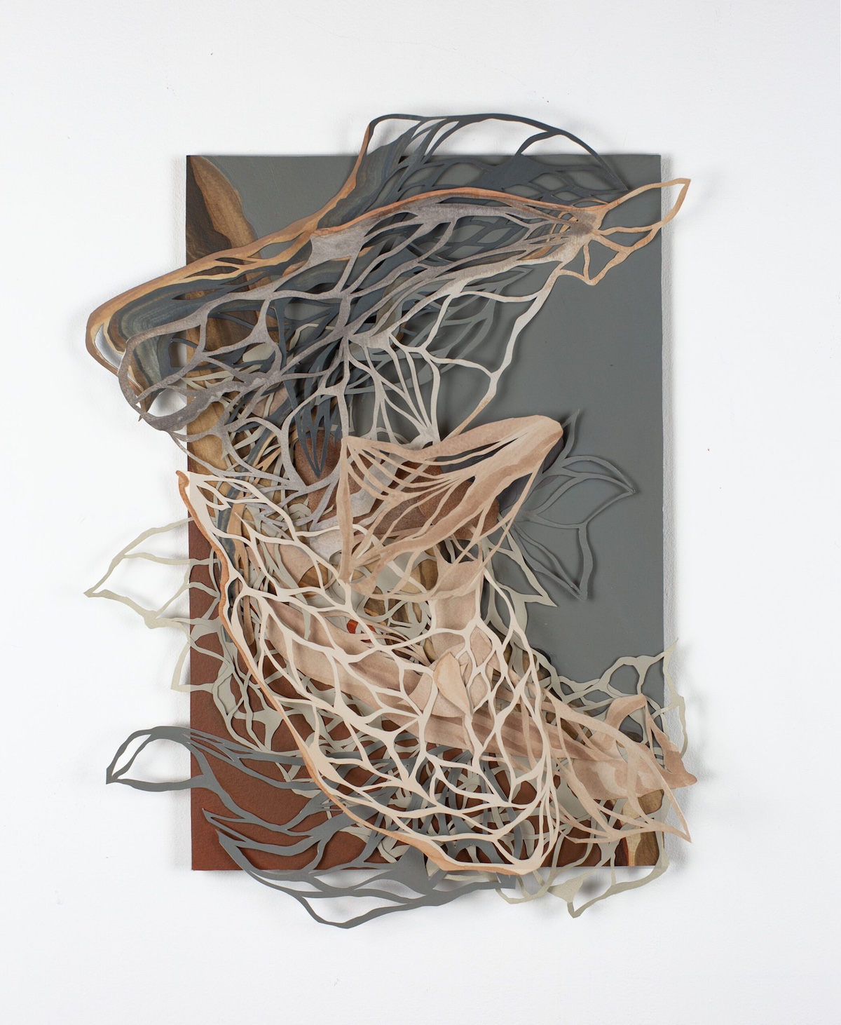 Solo Series Winter 2025