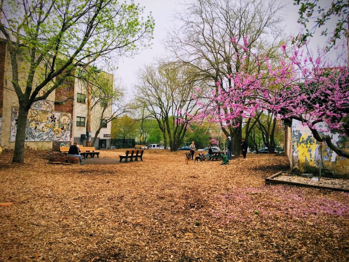 Orianna Hill Dog Park Mural dosagemagazine.com 