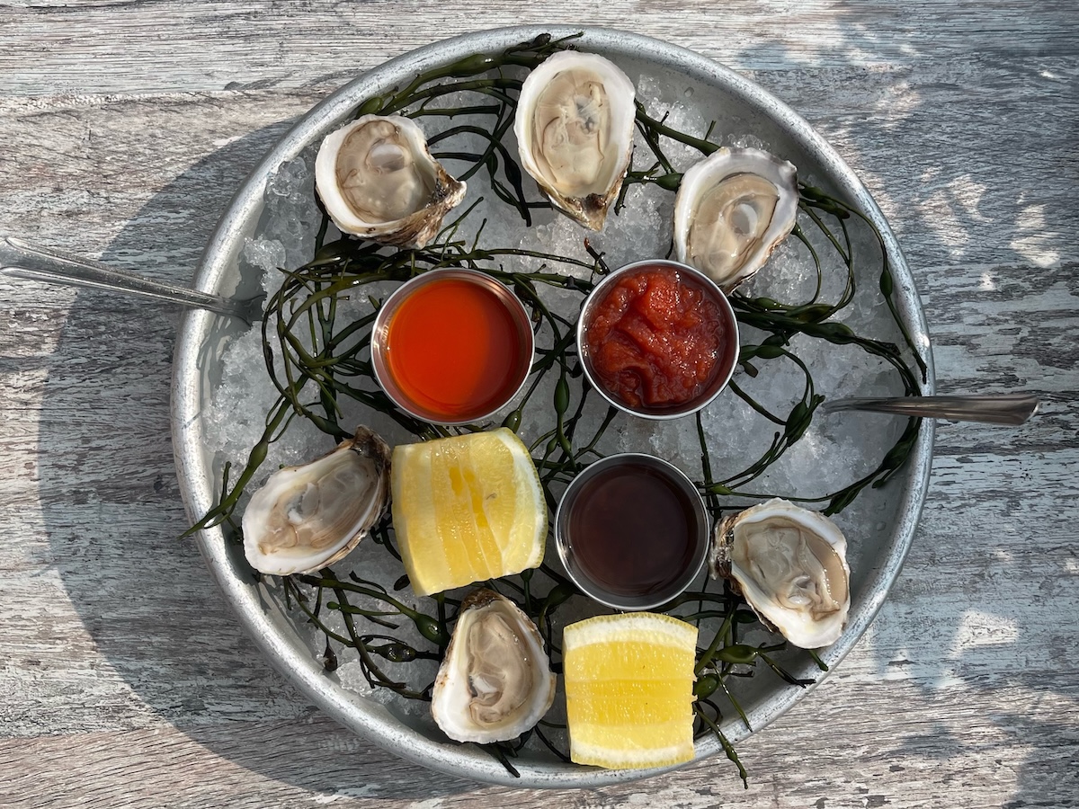 National Oyster Day 2025