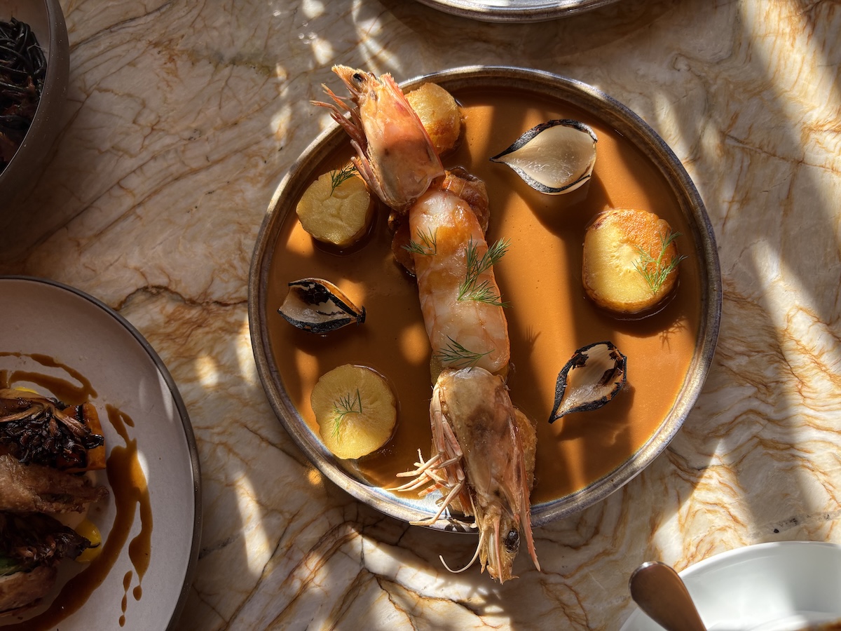 Dreamworld Tasting Menu at Stir