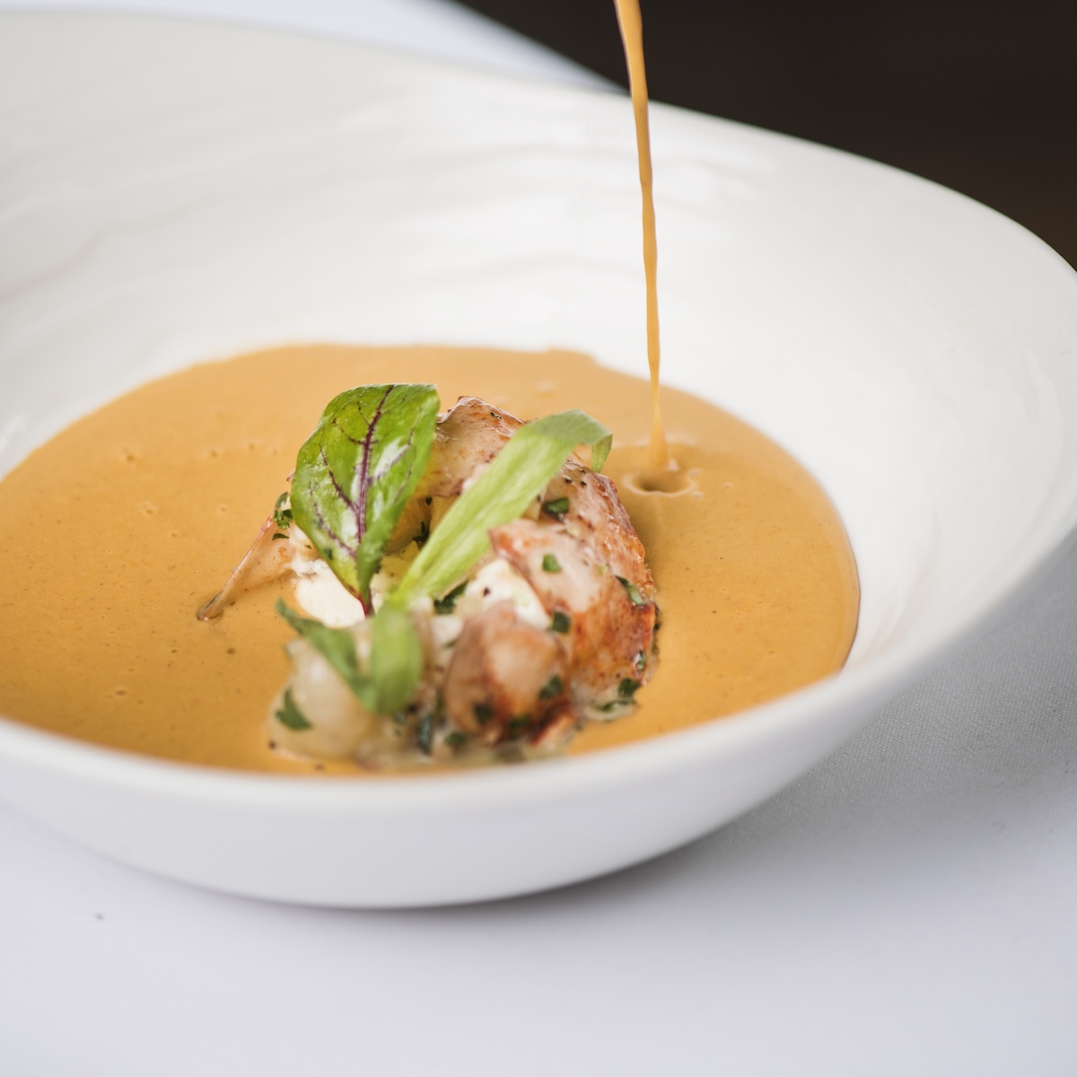 The Philly Soup Report