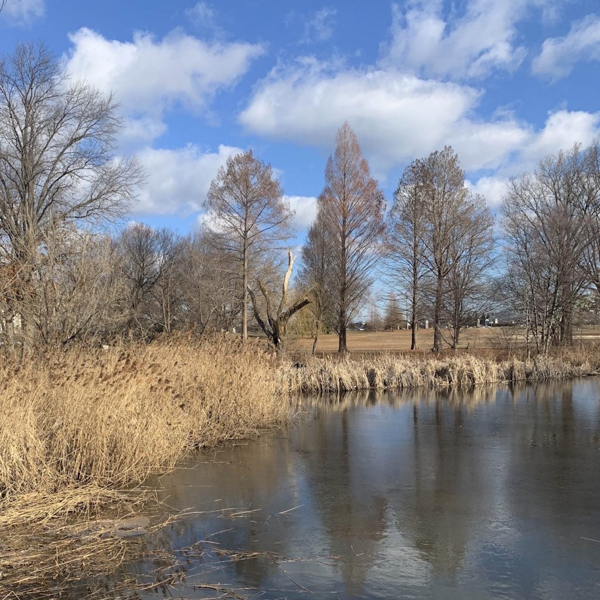 MLK Day of Service 2026 4 MLK Day of Service 2026