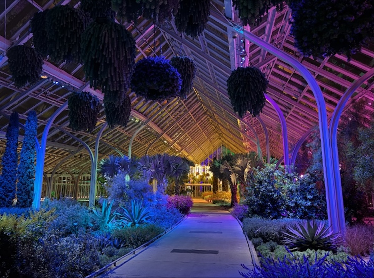 Valentine’s Day 2026: Celebrate Love 17 Valentine’s Day 2026 dosagemagazine.com8