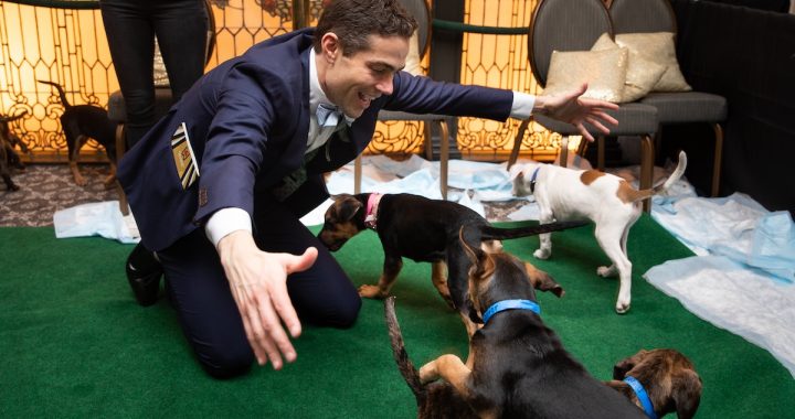 Fur Ball 2026: Philly’s Most Glamorous Night for Rescue