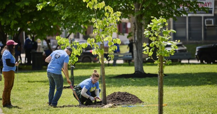 Love Your Park Week 2026