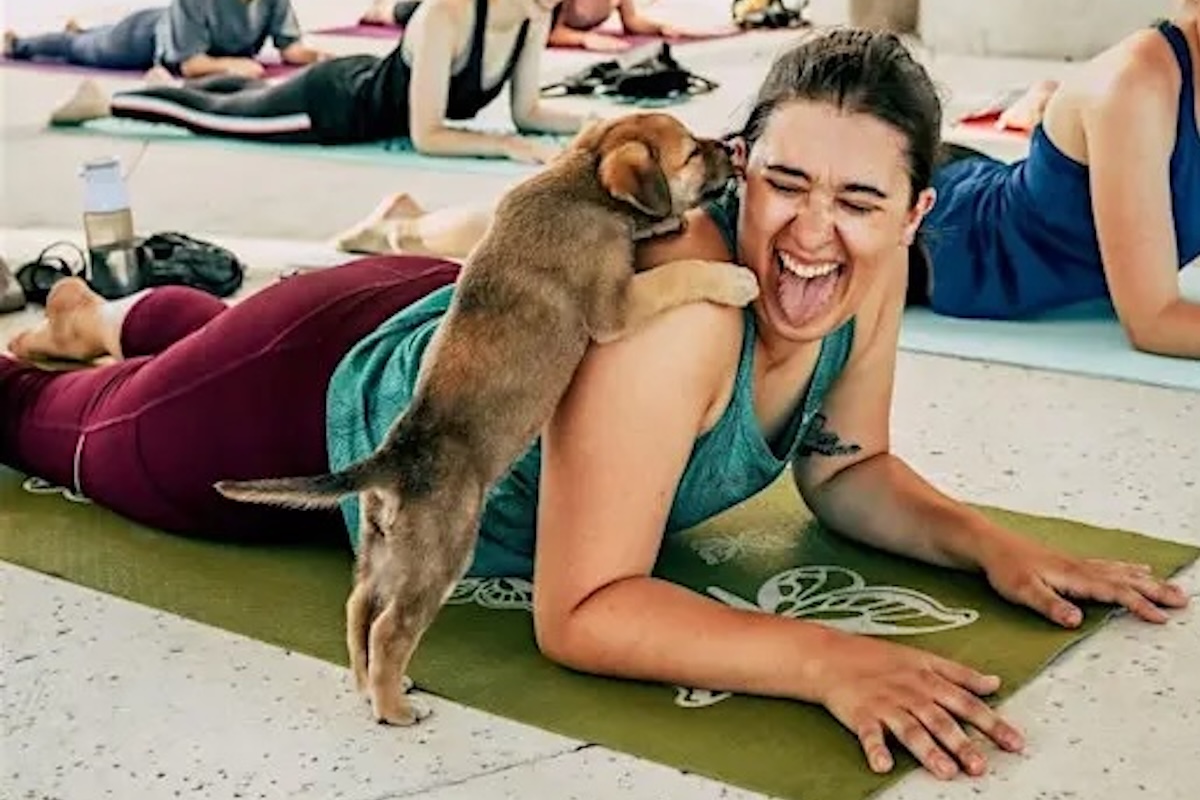 Puppy Yoga