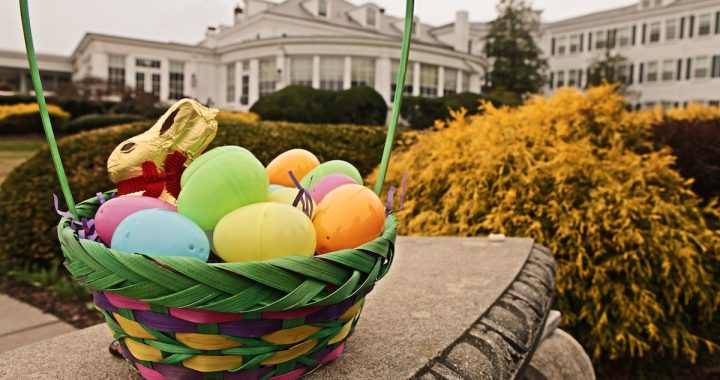 Easter 2026: Philadelphia’s Complete Brunch & Dining Guide