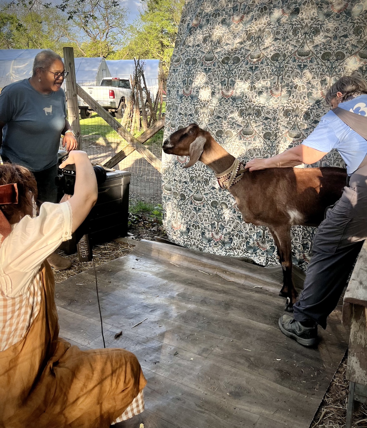 A Gathering of Goats Brings Claire Rosen's Fantastical Feasts Series to Life with the Philly Goat Project at InLiquid 3 a gathering of goats