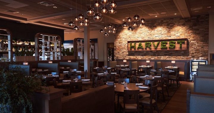 Mediterranean Dinner at Harvest Seasonal Grill—5-Course Plant-Based