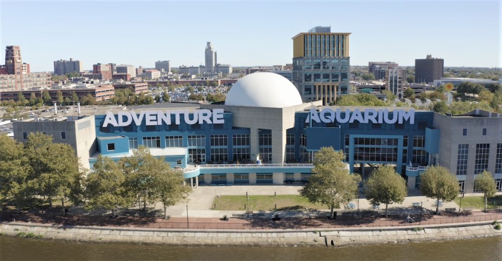 AquaZoo Combo Ticket bundles the Philadelphia Zoo and Adventure Aquarium
