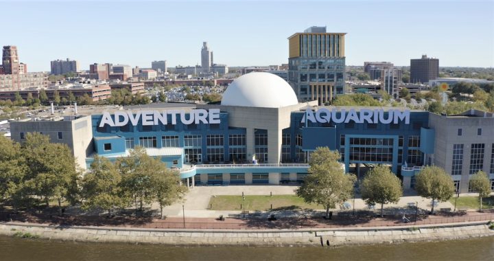 The AquaZoo Combo Ticket Pairs the Philadelphia Zoo and Adventure Aquarium for One Limited-Time Trip