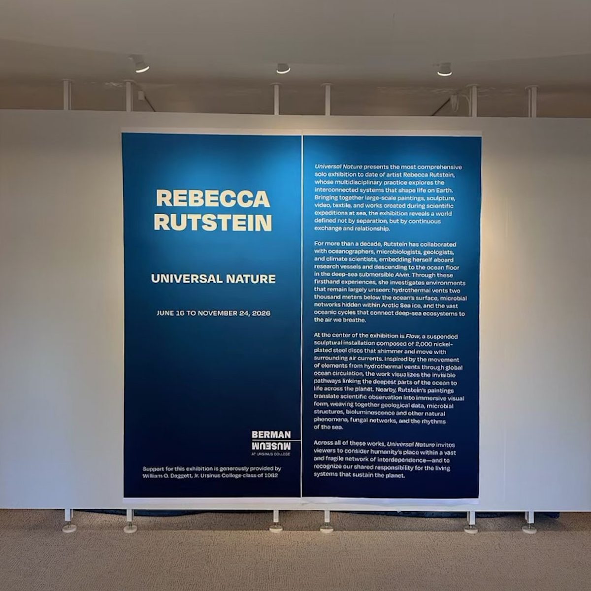 Universal Nature—Rebecca Rutstein at the Berman Museum dosagemagazine.com4