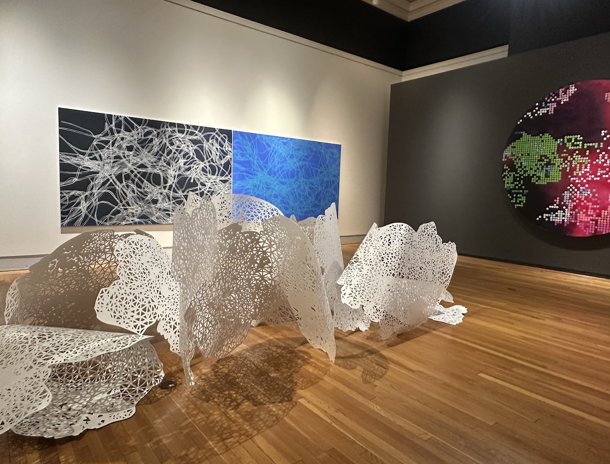 Universal Nature—Rebecca Rutstein at the Berman Museum dosagemagazine.com4