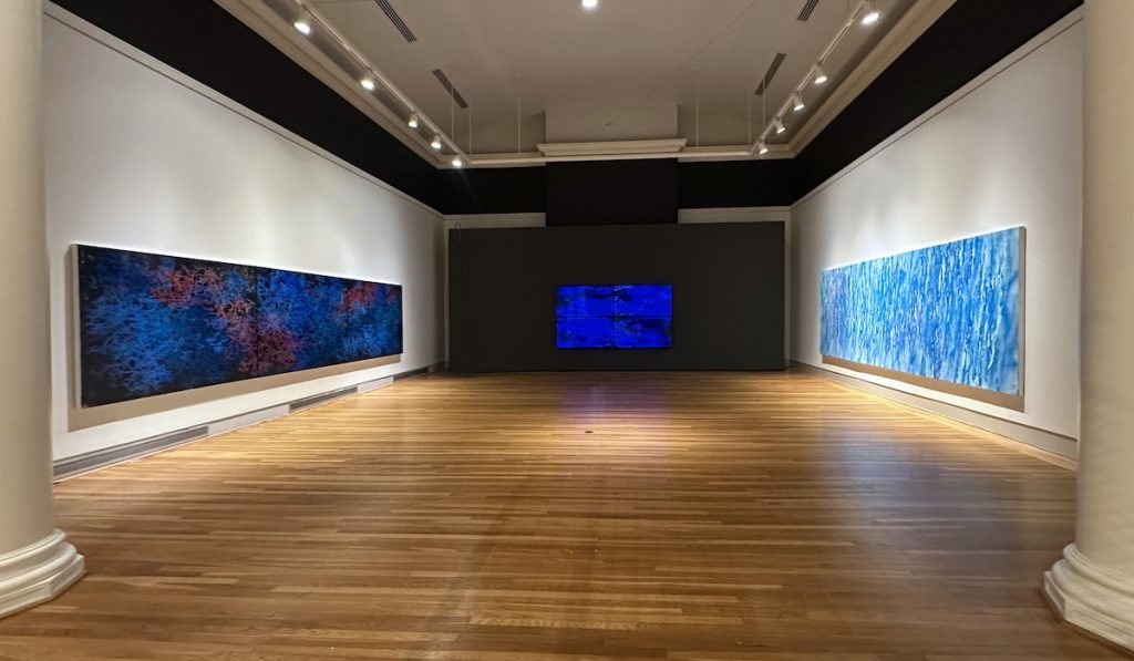 Universal Nature—Rebecca Rutstein at the Berman Museum dosagemagazine.com4