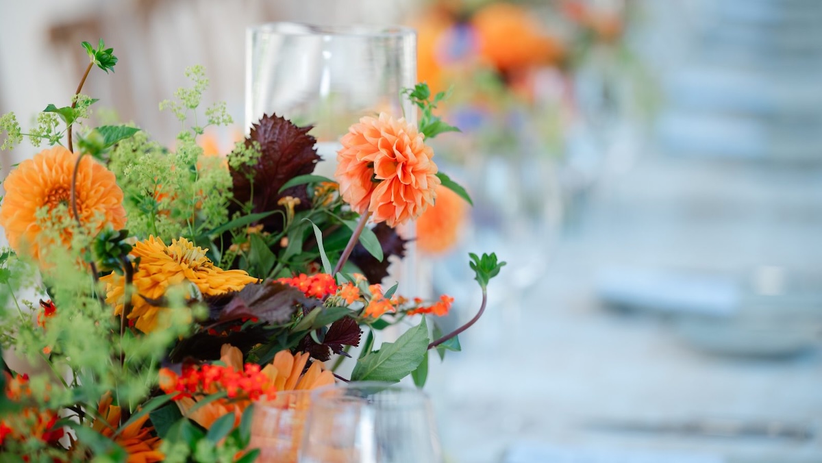 An Evening at Longwood, Featuring 1906, Benefits the James Beard Foundation 2 Evening at Longwood
