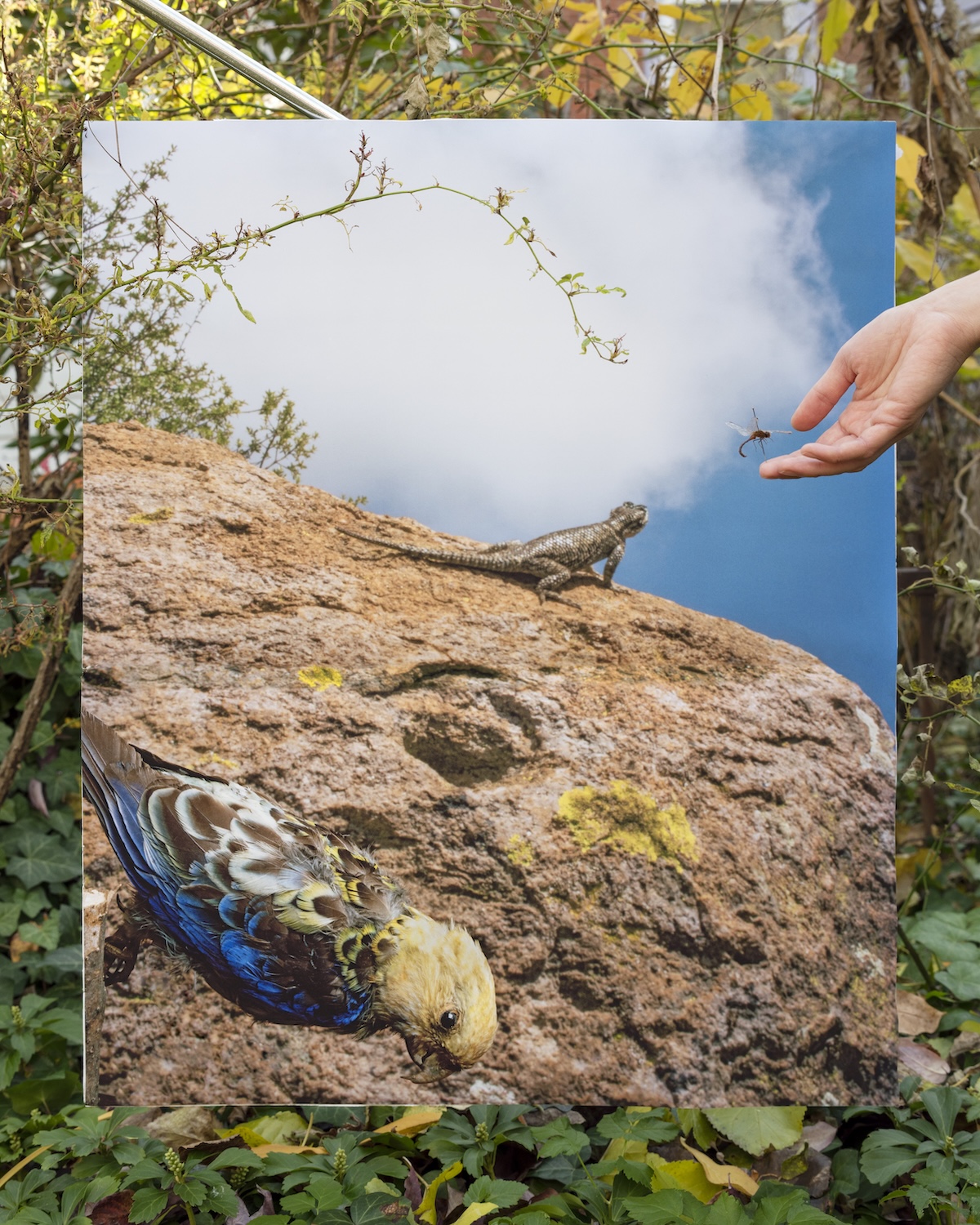InLiquid Examines Climate Change Through Photography in "No Other Place to Go" 3 No Other Place to Go