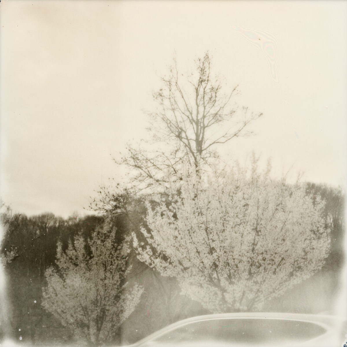 InLiquid Examines Climate Change Through Photography in "No Other Place to Go" 5 No Other Place to Go