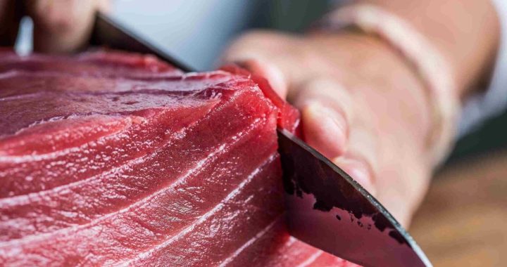 A Maguro Kaitai Show Is Coming to Fairmount’s Javelin on August 18th