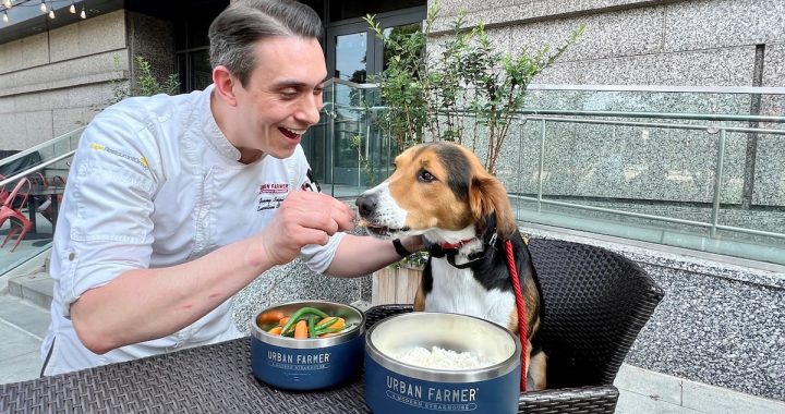 Two Yappy Hours Bring National Dog Day to The Logan and Square 1682