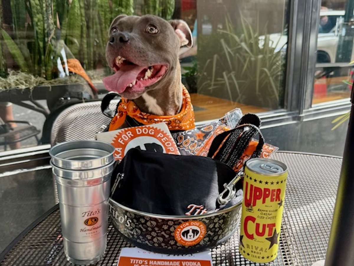 Two Yappy Hours Bring National Dog Day to The Logan and Square 1682 3 National Dog Day