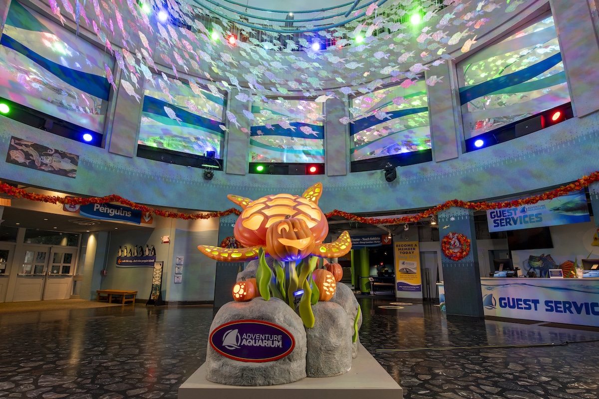 Fintastic Pumpkin Glow 2026 Brings New Glowing Displays to Adventure Aquarium 2 Fintastic Pumpkin Glow 2026