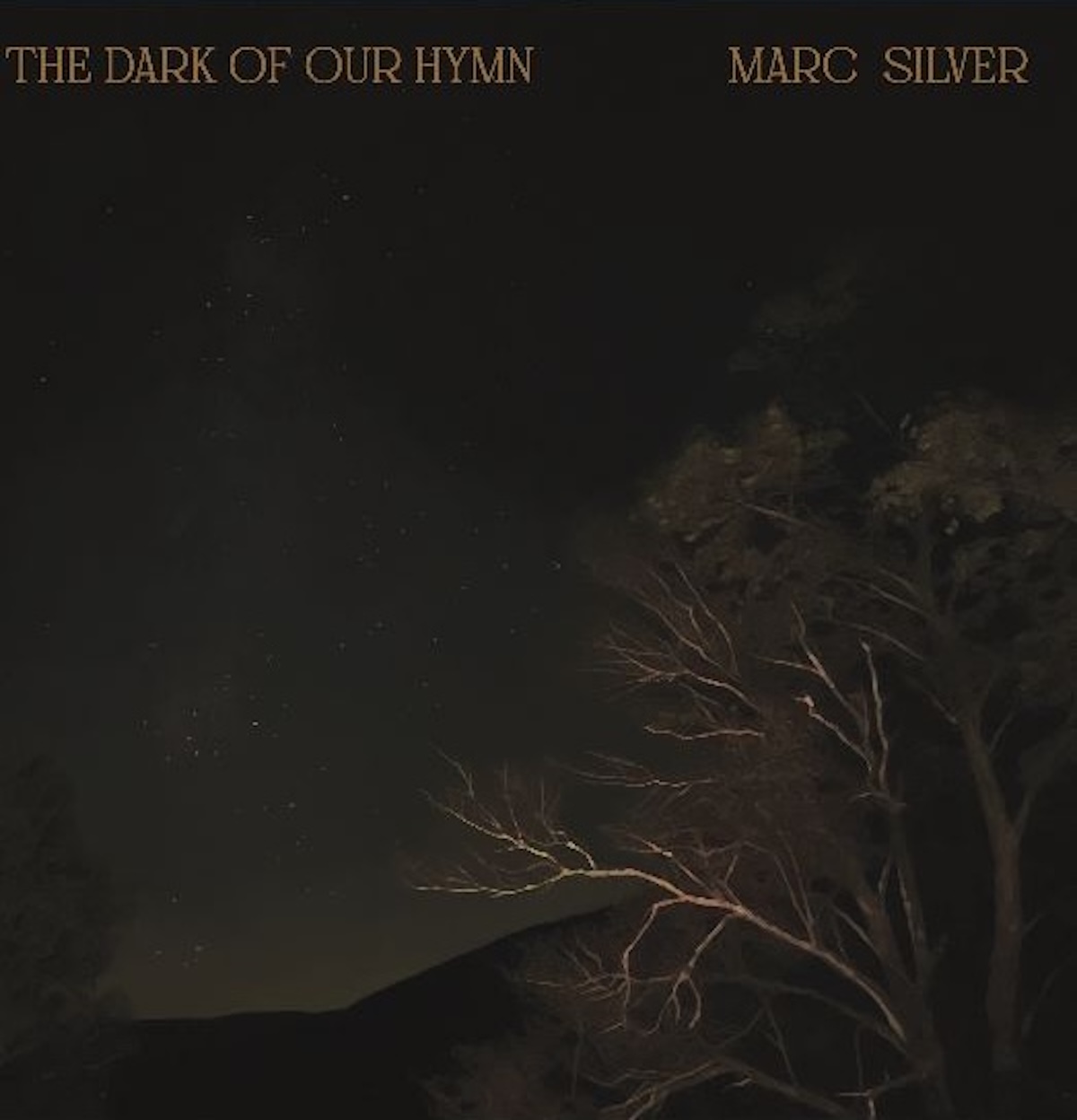 Marc Silver's The Dark of Our Hymn Turns Grief Into Celebration 3 The Dark of Our Hymn