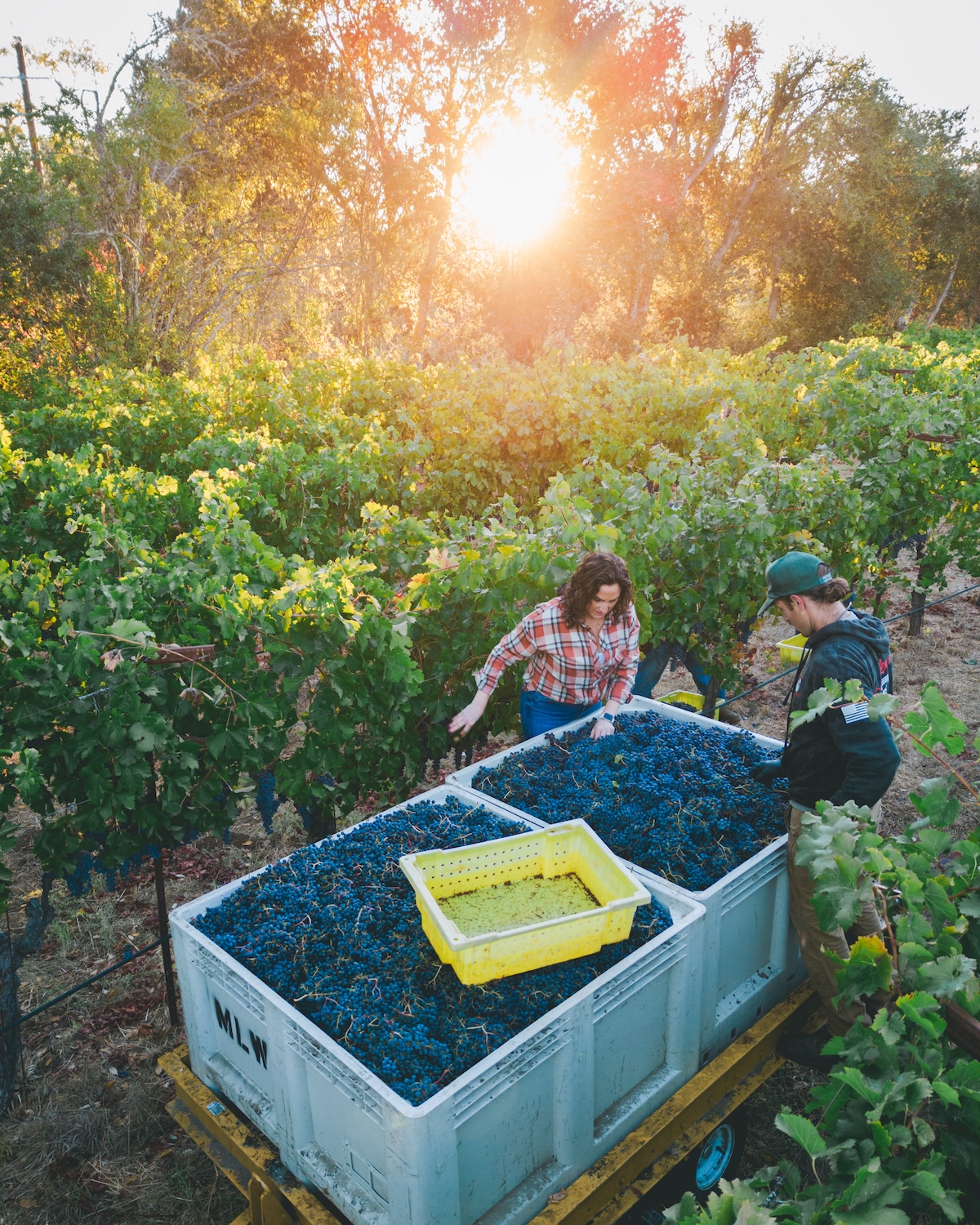 Turks Head Wines Anniversary Marks Two Years in West Chester 4 Turks Head Wines Anniversary
